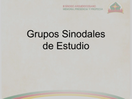 “Grupo Sinodal de Estudio“.