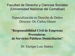 9-resp-civil-emp-serv-pub - Universidad Nacional del Comahue