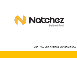 Business Plan - NATCHEZ TECHNOLOGY SOLUTIONS