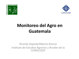 Políticas agrarias y comerciales Guatemala 2010