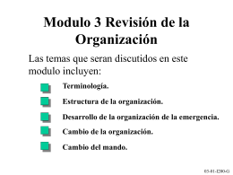 Modulo 3 Esquema de la Organización