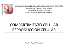 células madre pluripotentes - Universidad Privada San Juan Bautista