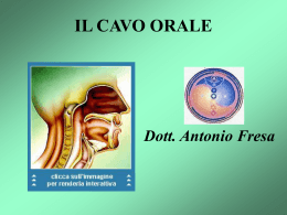 Dott. Antonio Fresa - Comune di Montecorvino Pugliano