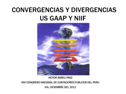 US GAAP Y NIIF: Convergencias y divergencias.