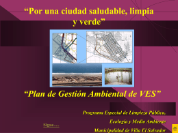 Plan de Gestión Ambiental - Municipalidad de Villa El Salvador