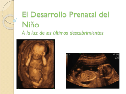 El_Desarrollo_Prenatal_del_Niño.