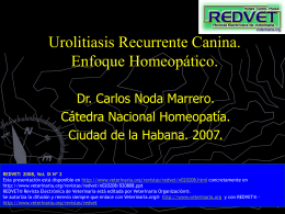 Urolitiasis Recurrente Canina. Enfoque Homeopático.
