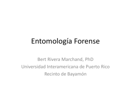Entomología Forense - Universidad Interamericana de Puerto Rico