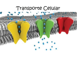 transporte_celular_prueba