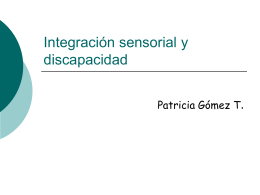 Integración sensorial y discapacidad