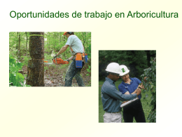 Power Point sobre las Oportunidades de Trabajo en Arboricultura