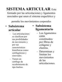TIPOS DE ARTICULACIONES - E