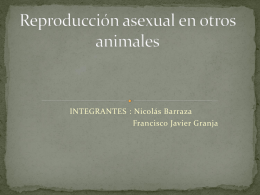 Reproducción asexual en otros animales