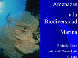 Amenazas a la biodiversidad marina