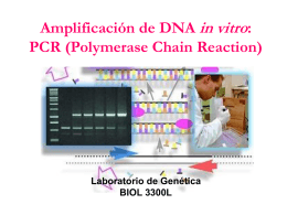 Replicación de DNA en sintetizador automático: “PCR” (Reacción