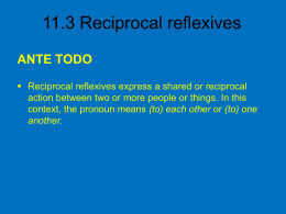 11.3 Reciprocal reflexives