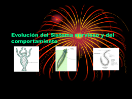 Evolución del Sistema Nervioso y del Comportamiento (D.Diaz)