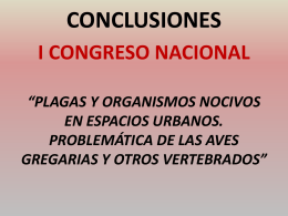 conclusiones - Ayuntamiento de Huesca
