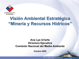 Vision Ambiental Estrategica - Mineria y Recursos Hidricos