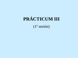 PRÁCTICUM III (3 er curso)