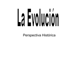 evolucion historica