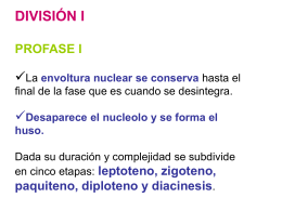 Diapositiva 1 - IES Ramon Llull