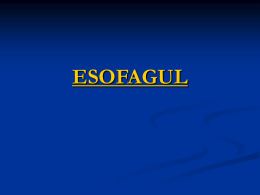 Esofagul