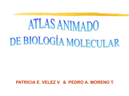 ATLAS ANIMADO DE BIOLOGIA MOLECULAR 1