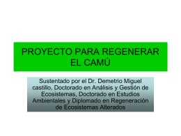 Proy. Regeneración Río Camú, Dr. Demetrio Miguel Castillo