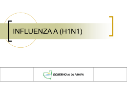 INFLUENZA A (H1N1)