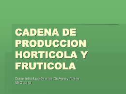 CADENA DE PRODUCCION HORTICOLA