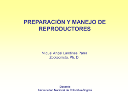 preparación y manejo de reproductores