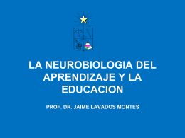 presentación Dr. Jaime Lavados