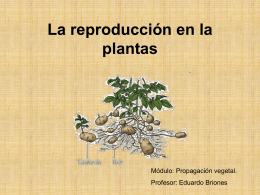 Introducción a la Propagación vegetal