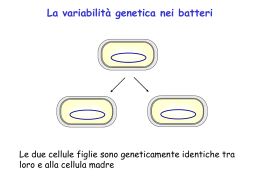 Genetica microbica PDF