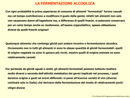 2 - Fermentazione alcolica