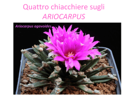 Il genere Ariocarpus