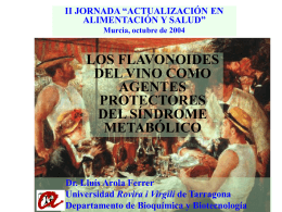 Flavonoides y síndrome metabólico