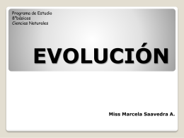 Teorias acerca de la evolución