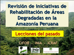 Revisión de iniciativas de Rehabilitación de Áreas Degradadas
