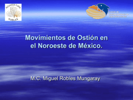 MOVIMIETOS DE OSTION EN EL NOROESTE DE MEXICO