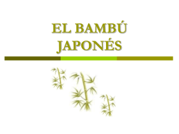 EL BAMBÚ JAPONÉS - Federación de Escuelas Particulares