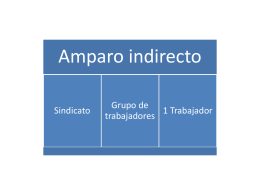 Instrucciones Amparo ANAD-UJM y otros