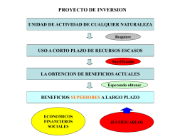 El-proyecto-de-inversiÃ³n