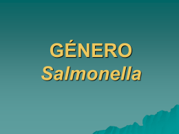 salmonella06