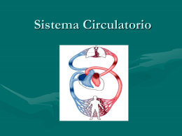 Sistema Circulatorio - Colegio Miguel de Cervantes, Punta Arenas.