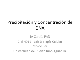 Lab4_Precipitacion_Concentracionde_DNA