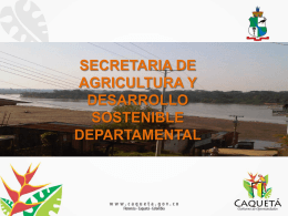 Oportunidad para el Agro y Sostenibilidad Ambiental