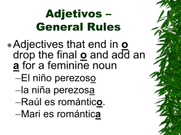 Adjetivos – General Rules