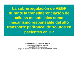 La sobrerregulación de VEGF durante la transdiferenciación de
